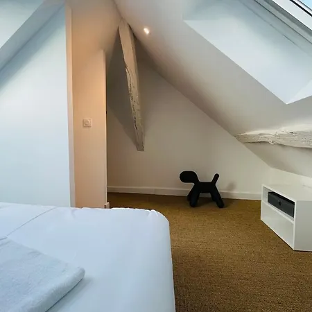 Le Henri Cocoon In The Heart Of Les Halles 公寓 图尔